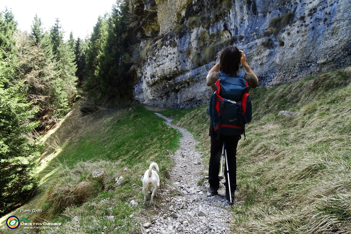 18 Bancata con breccia carbonatica cementata e calcare-dolomia.JPG